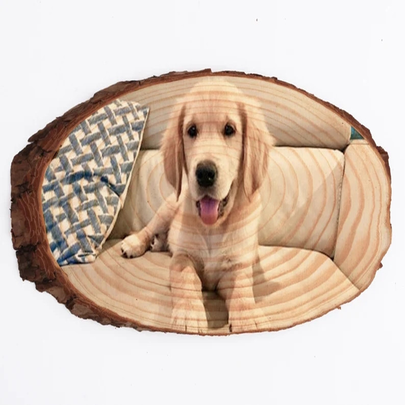 Custom dog and cat Wood Photo frame