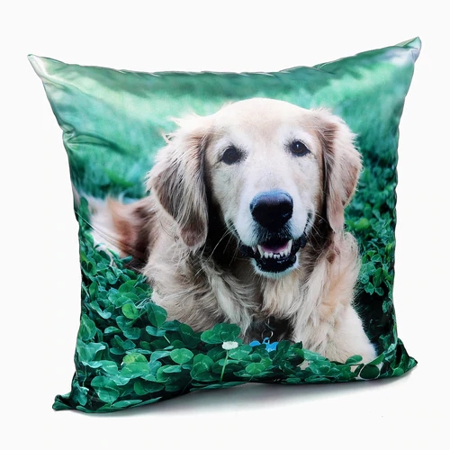 custom dog picture pillow