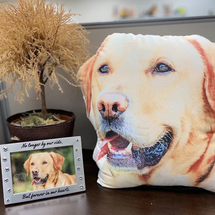 custom dog shaped pillow like a dog