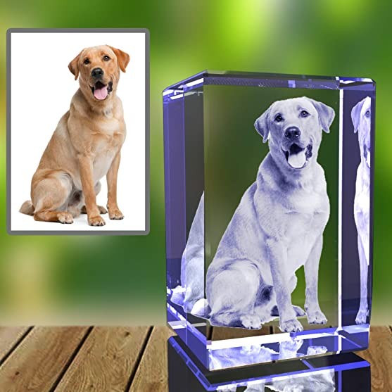 3d crystal engraved photo